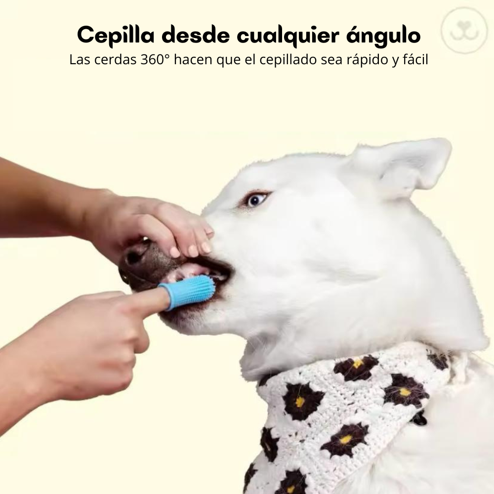 Cepillo de Dientes para Perros