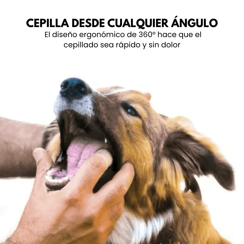 Cepillo de Dientes para Perros