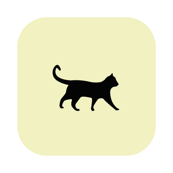 Gato