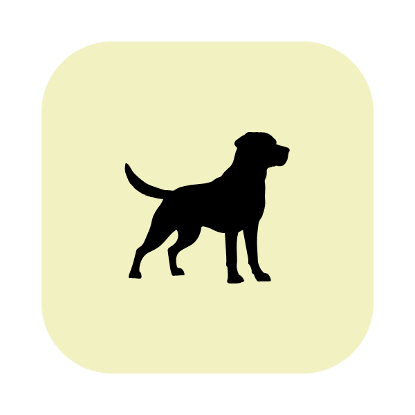Perro